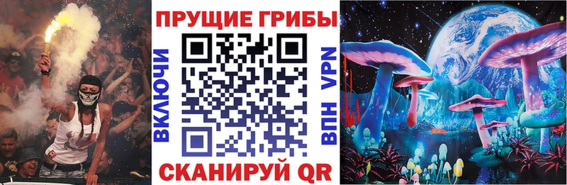 darknet как зайти  Гусь-Хрустальный  Галлюциногенные грибы мицелий 
