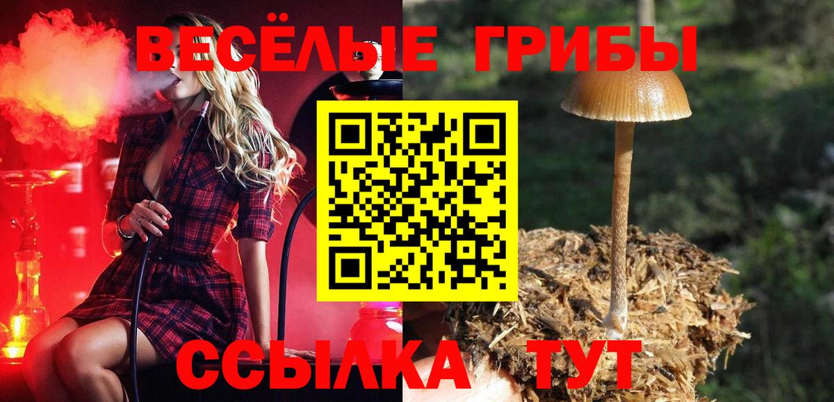 Галлюциногенные грибы Magic Shrooms Гусь-Хрустальный