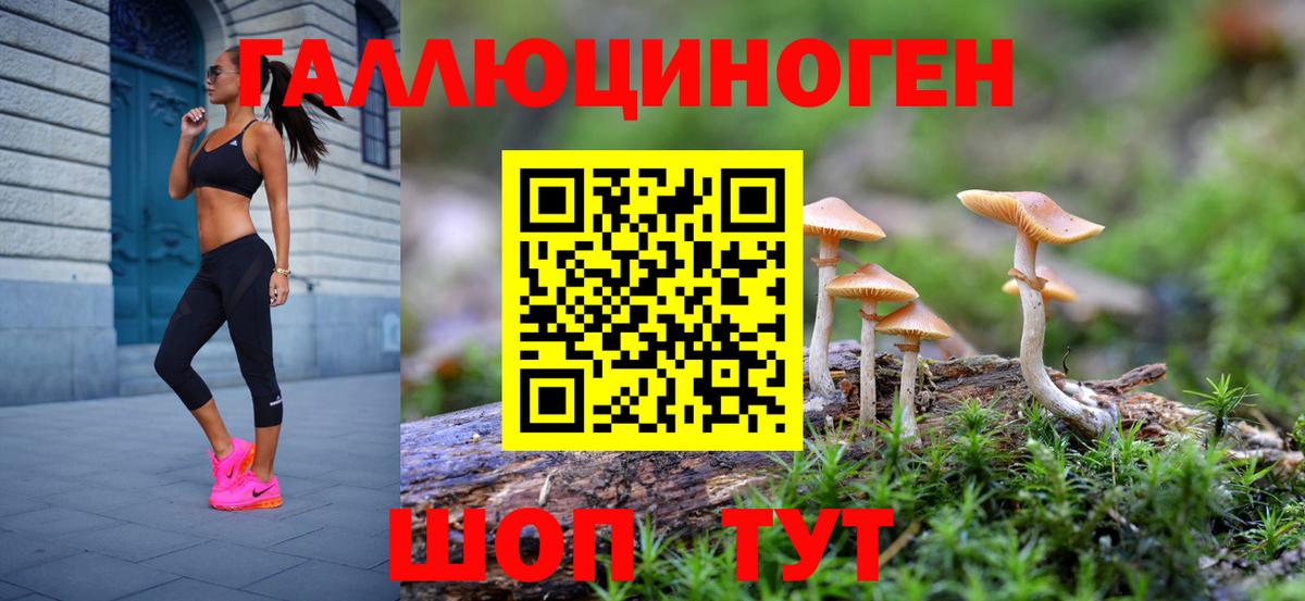 Псилоцибиновые грибы Psilocybe  Вход с VPN  Гусь-Хрустальный 