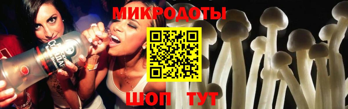 Псилоцибиновые грибы Psilocybine cubensis  Гусь-Хрустальный 